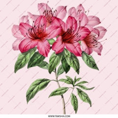 Pink Azalea Pinback Button, Floral Accessory, Botanical Badge, Flower Button, Garden Lover Gift, Aesthetic Apparel, Trendy Pin, Gift Idea - Tawshia