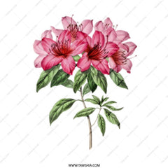 Pink Azalea Mug, Floral Mug, Garden Flower Mug, Botanical Mug, Flower Lover Gift, Spring Mug, Plant Mug, Coffee Mug, Tea Mug - Tawshia