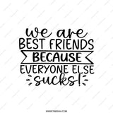 Funny Best Friend Pillow, Sarcastic Friendship Gift, Bestie Pillow, We Are Best Friends Because Everyone Else Sucks, Funny Pillow Decor - Tawshia