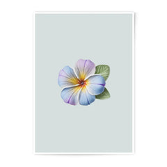 Floral Photographic Prints, Frangipani Wall Art, Delicate Flower Photo, Home Decor Prints, Botanical Illustration, Tropical Flower Print - Tawshia