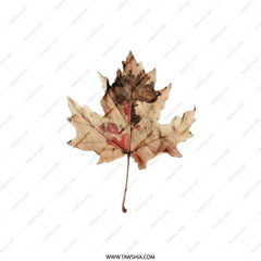 Autumn Maple Leaf Pillow, Fall Decor Cushion, Botanical Pillow, Nature Inspired Home Decor, Elegant Throw Pillow, Seasonal Accent Pillow - Tawshia