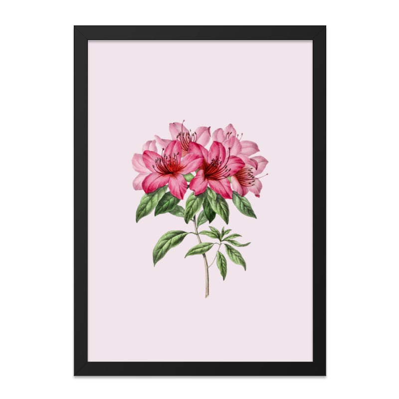 Azalea Wall Art, Floral Print, Pink Flower Artwork, Botanical Home Decor, Elegant Wall Hanging - Tawshia