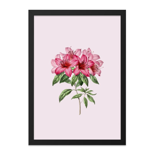 Azalea Wall Art, Floral Print, Pink Flower Artwork, Botanical Home Decor, Elegant Wall Hanging - Tawshia