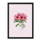 Azalea Wall Art, Floral Print, Pink Flower Artwork, Botanical Home Decor, Elegant Wall Hanging - Tawshia