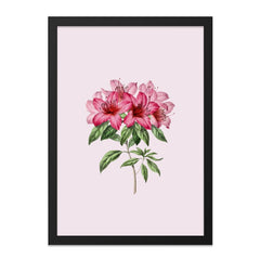Azalea Wall Art, Floral Print, Pink Flower Artwork, Botanical Home Decor, Elegant Wall Hanging - Tawshia
