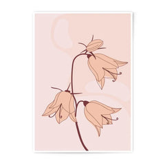 Floral Photographic Print, Bellflower Art, Botanical Illustration, Flower Wall Art, Delicate Line Drawing, Minimalist Art Print, Nature - Tawshia