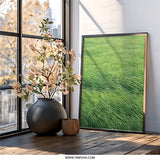 Abstract Green Field Wall Art, Modern Nature Print, Minimalist Art Decor, Fine Art Photography, Home Decor Wall Art - Tawshia