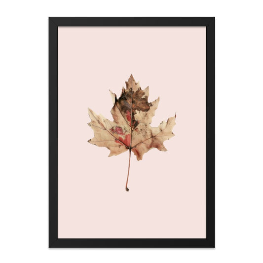Maple Leaf Wall Art Print, Botanical Art, Autumn Decor, Fall Foliage, Nature Print, Leaf Print, Wall Decor, Home Decor, Modern Wall Art - Tawshia