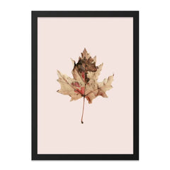 Maple Leaf Wall Art Print, Botanical Art, Autumn Decor, Fall Foliage, Nature Print, Leaf Print, Wall Decor, Home Decor, Modern Wall Art - Tawshia