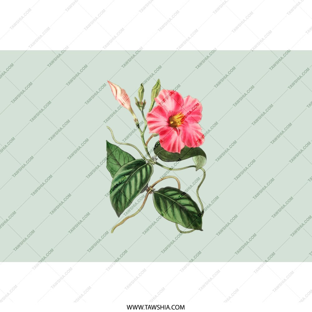 Mandevilla Tumbler, Floral Drinkware, Botanical Cup, Unique Gift for Her, Flower Lover's Present, Pink Flower Tumbler, Trending Design - Tawshia