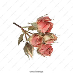 Dried Roses Pillow, Botanical Pillow, Floral Throw Pillow, Delicate Pink Roses Design, Home Decor Accent Pillow - Tawshia