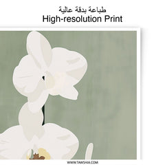 White Orchid Photographic Print, Botanical Wall Art, Floral Art Print, Minimalist Flower Decor, Elegant Home Decor, Plant Lover Gift - Tawshia