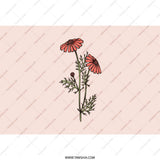 Chamomile Flowers Tumbler, Floral Tumbler, Pink Tumbler, Botanical Design, Flower Lover Gift, Plant Mom Gift, Nature Inspired Drinkware - Tawshia