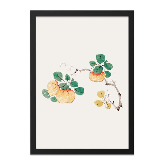Persimmon Wall Art, Botanical Print, Asian Art Decor, Fruit Illustration, Modern Home Decor, Nature Inspired Artwork, Framed Art - Tawshia