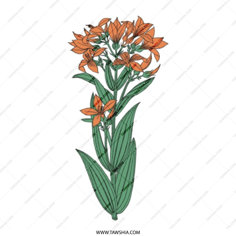 Orange Lily Tote Bag, Floral Design, Botanical Bag, Flower Lover Gift, Unique Tote, Trendy Bag, Everyday Bag, Book Bag, Grocery Bag - Tawshia