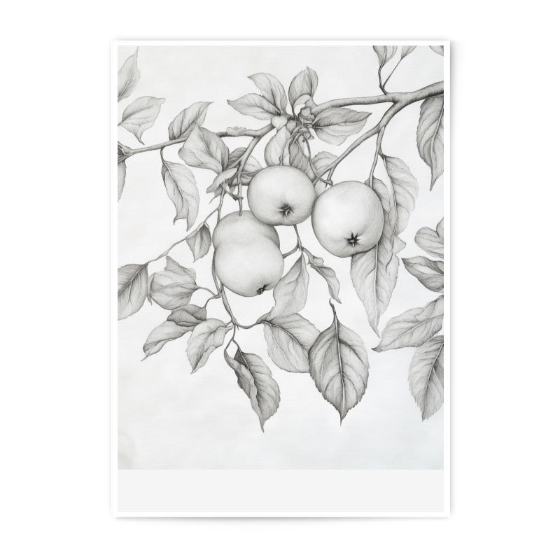 Apple Tree Branch Photographic Print, Botanical Still Life Wall Decor, Fruit Tree Art Print, Nature Inspired Home Decor, Sketch Art - Tawshia