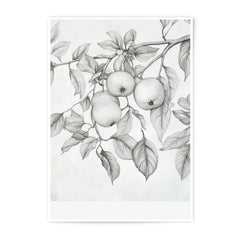 Apple Tree Branch Photographic Print, Botanical Still Life Wall Decor, Fruit Tree Art Print, Nature Inspired Home Decor, Sketch Art - Tawshia