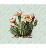 Beautiful Blooming Cactus Illustration Art product type