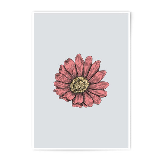 Pink Flower Photographic Prints, Floral Wall Decor, Botanical Art, Flower Drawing, Home Decor, Gift Idea - Tawshia
