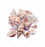 Assorted Beautiful Spiral Conch Shells Decorative product type