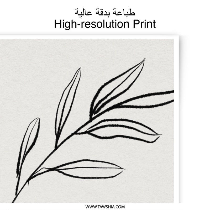 Olive Branch Photographic Print, Botanical Wall Art, Minimalist Decor, Nature Inspired Photo, Home Decor, Elegant Print, Simple Design - Tawshia