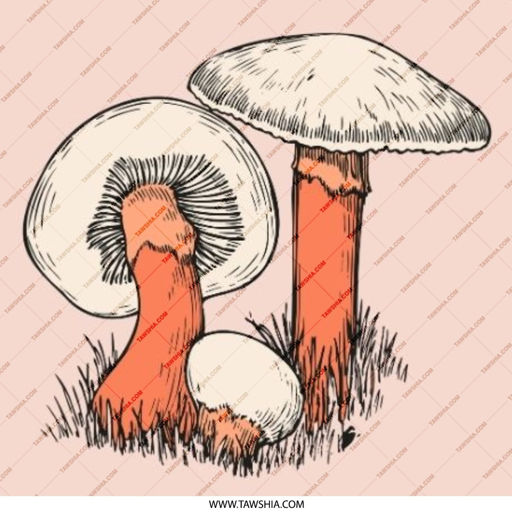 Mushroom Pinback Button, Fungi Badge, Nature Lover Gift, Vintage Style Pin, Mushroom Illustration, Botanical Art, Unique Accessory - Tawshia