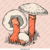 Mushroom Pinback Button, Fungi Badge, Nature Lover Gift, Vintage Style Pin, Mushroom Illustration, Botanical Art, Unique Accessory - Tawshia