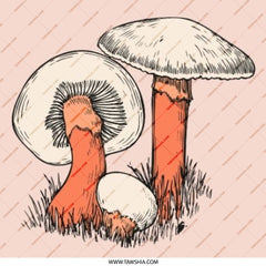 Mushroom Pinback Button, Fungi Badge, Nature Lover Gift, Vintage Style Pin, Mushroom Illustration, Botanical Art, Unique Accessory - Tawshia