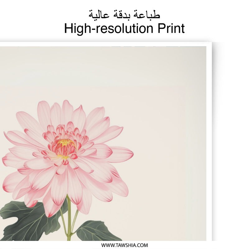 Pink Chrysanthemum Photographic Print, Floral Still Life Wall Art, Minimalist Flower Art Print, Botanical Home Decor, Flower in Glass - Tawshia