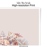 Seashells Photographic Print, Coastal Home Decor, Beach House Art, Ocean Inspired Wall Art, Seashell Art Print - Tawshia