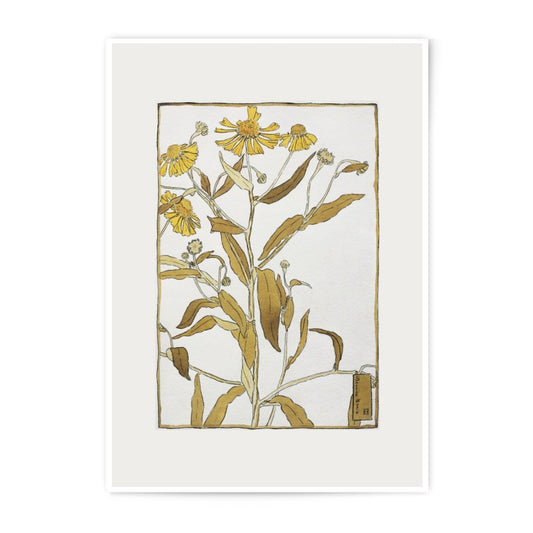 Yellow Flower Photographic Print, Botanical Art Print, Floral Wall Decor, Vintage Style Plant Artwork, Nature Inspired Print, Fine Art Print - Tawshia