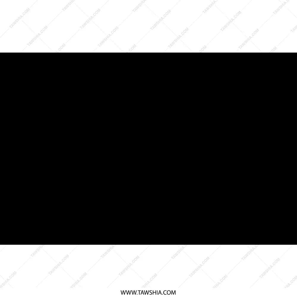 Elegant Black Designer Fashionable Product