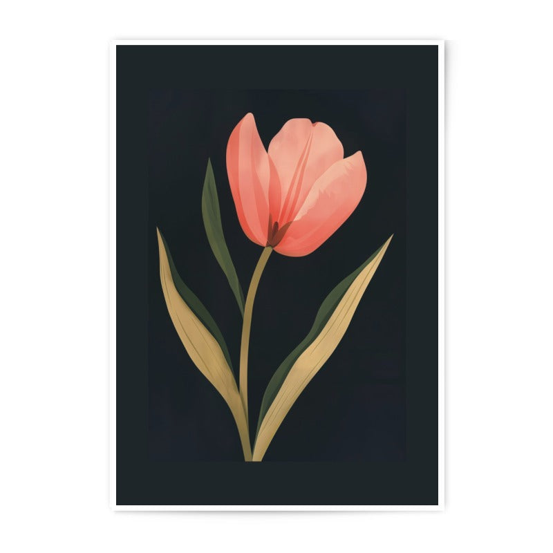 Tulip Photographic Print, Floral Wall Art, Modern Botanical Print, Home Decor, Fine Art Print - Tawshia