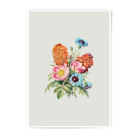 Vintage Floral Photographic Prints, Botanical Art Print, Flower Wall Decor, Antique Style Art Prints, Wildflower Art - Tawshia