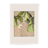 Hellebore Photographic Print, Botanical Art, Flower Wall Decor, Garden Art Print, Nature Photo, Floral Illustration, Plant Print - Tawshia