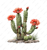 Blooming Red Flowers Green Cactus Art product