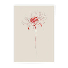 Red Spider Lily Photographic Print, Botanical Wall Art, Floral Home Decor, Minimalist Flower Print, Modern Art Print, Fine Art Photography - Tawshia