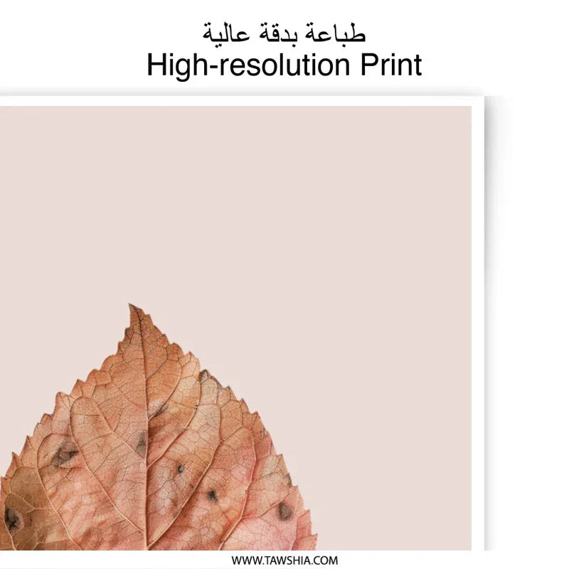 Autumn Leaf Photographic Prints, Botanical Wall Art, Fall Decor, Rustic Home Decor, Nature Photography, Leaf Print, Modern Art, Art Prints - Tawshia