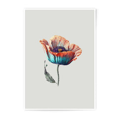 Poppy Photographic Prints, Floral Wall Art, Botanical Photo, Home Decor, Flower Photography, Nature Prints, Delicate Flower Print - Tawshia