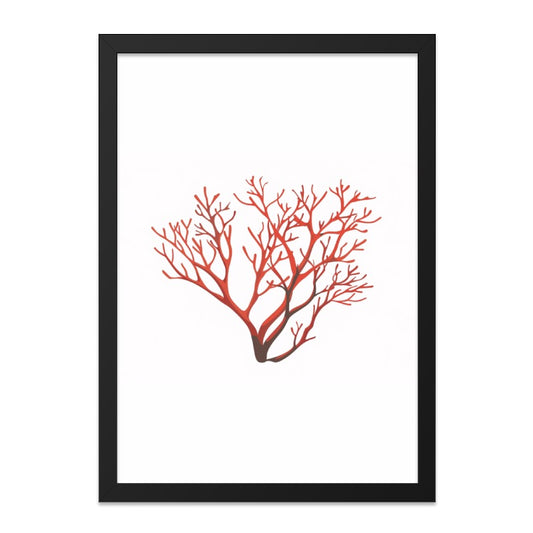 Red Coral Wall Art, Minimalist Print, Coastal Decor, Sea Life Art, Modern Home Decor, Nature Wall Decor, Framed Wall Art - Tawshia