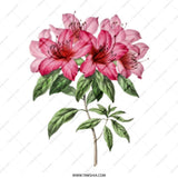 Floral Tote Bag, Pink Azalea Flowers, Botanical Illustration, Elegant Tote, Stylish Bag, Everyday Tote, Shoulder Bag, Gift for Her - Tawshia
