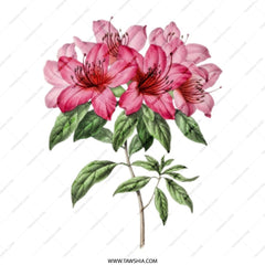 Floral Tote Bag, Pink Azalea Flowers, Botanical Illustration, Elegant Tote, Stylish Bag, Everyday Tote, Shoulder Bag, Gift for Her - Tawshia