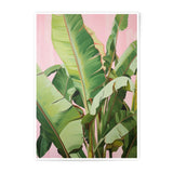 Tropical Leaves Photographic Print, Botanical Wall Art, Pink Background, Plant Decor, Banana Leaf Print, Exotic Art Print, Home Decor - Tawshia