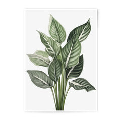 Tropical Plant Photographic Print, Green Leaf Art, Botanical Wall Decor, Calathea Print, Modern Home Decor, Houseplant Illustration - Tawshia