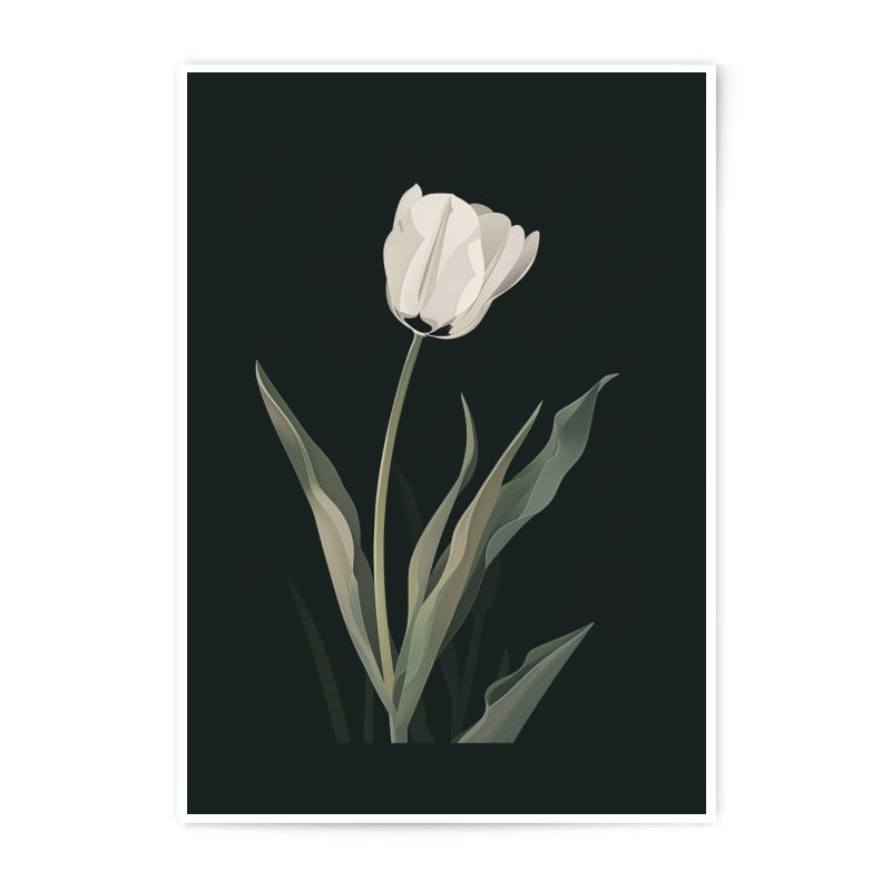 White Tulip Photographic Print, Floral Wall Art, Minimalist Flower Print, Botanical Decor, Elegant Fine Art Print - Tawshia