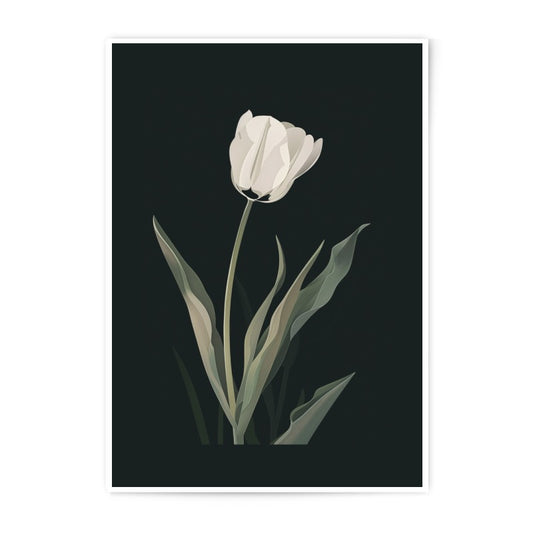 White Tulip Photographic Print, Floral Wall Art, Minimalist Flower Print, Botanical Decor, Elegant Fine Art Print - Tawshia