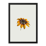 Black Eyed Susan Wall Art, Floral Wall Decor, Botanical Art Print, Flower Photography, Minimalist Art, Home Decor, Nature Art - Tawshia