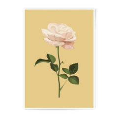 Rose Photographic Print, Floral Wall Art, Botanical Decor, Single Rose Print, Flower Photography, Elegant Art Print, Peach Rose Art - Tawshia