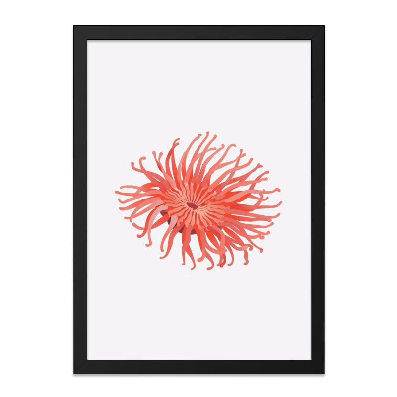 Sea Anemone Wall Art, Coral Reef Decor, Ocean Life Print, Coastal Home Decor, Modern Wall Art, Unique Gift Idea, Framed Wall Art - Tawshia