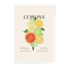 Lemons Photographic Print, Citrus Art Print, Kitchen Wall Decor, Fruit Illustration Print, Foodie Gift, Minimalist Art, Modern Print - Tawshia